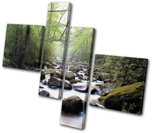 Paisajes Forest Stream ECO MULTI LIENZO ARTE DE PARED Impresión de Imagen VA - Imagen 1 de 1