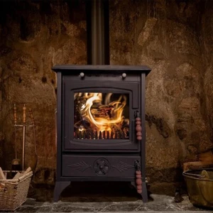 Cast Iron Stove with Oven, Durable Wood Stove Baking Oven, Stove by Burning Wood - Picture 1 of 6