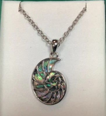 Ammonite Fossil Inlaid Paua Shell Pendant On A Chain - Imagem 1 de 4