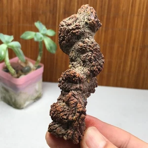 Top! Mejor raro estiércol de dinosaurio natural coprolito caca mineral espécimen 86 g A1014 - Imagen 1 de 10