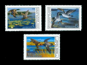 Russia / USSR / Soviet Union, 1990 - Ducks / Birds - 3 val. set - MNH** VF++ - Picture 1 of 1