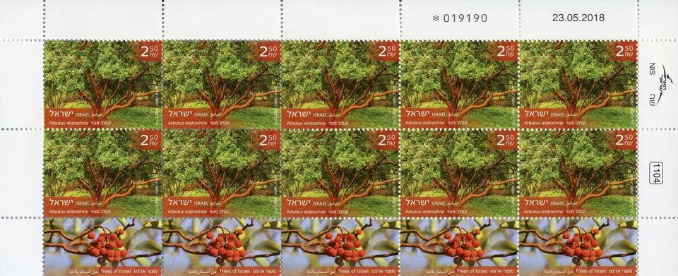 Israel 2018 MNH Trees of Israel 3x 10v M/S Flowers Plants Nature Stamps - Image 1 of 3
