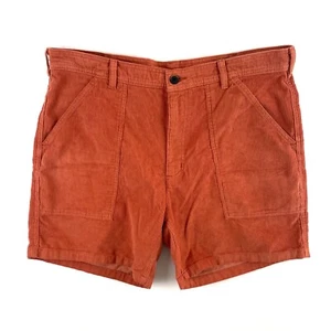 Patagonia Organic Cotton Cord Corduroy Utility Shorts Mens Size 36 Robin Brown - Picture 1 of 12