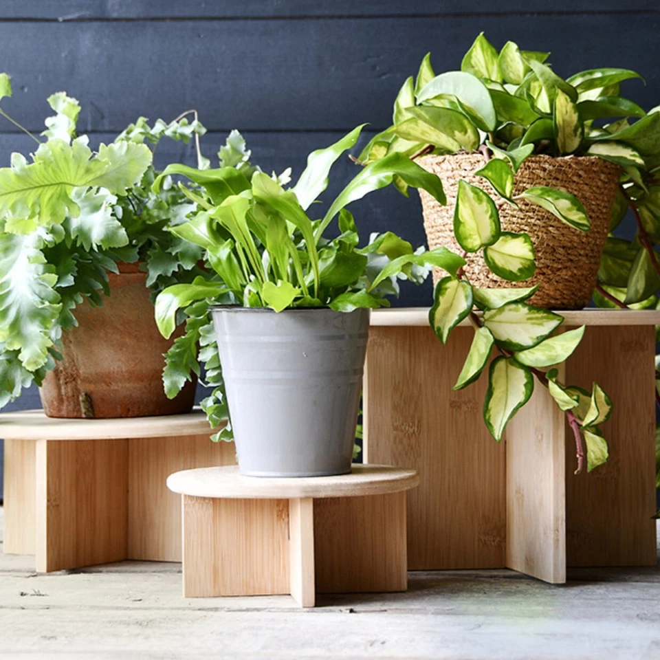 Wooden Plant Pot Stands FSC Certified Wood Planters Holders Indoor Home Decor - Image 1 of 1