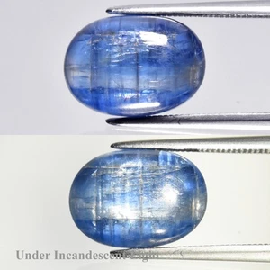 6.71ct Oval Cabochon Natural Blue Cat's Eye Kyanite - Untreated Sri-Lanka Gem - Picture 1 of 6