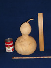 Snowman/Bottle Gourd - 10 1/4" x 21 3/4" - dried