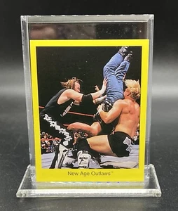 Carta Cardinal WWF Trivia Game Series 1998 WWE NEW AGE OUTLAWS - Foto 1 di 2
