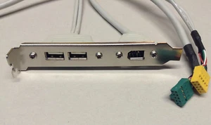 1 Stück PC-Anschluß Kabel mit 2 x USB Buchsen und 1 x IEEE 1394 Buchse - Picture 1 of 5
