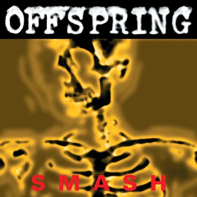 OFFSPRING SMASH Album BANNER HUGE 4X4 Ft Fabric Poster Tapestry Flag album art - Image 1 of 3
