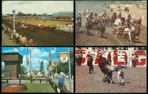4 POSTCARDS - CALGARY STAMPEDE - Bild 1 von 1
