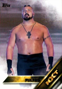 2016 Topps WWE Then Now Forever NXT Prospects #12 Sawyer Fulton - Picture 1 of 2