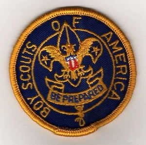 Committee/Layman (1967-69) (LAY5) Patch, Cloth Gauze Backing, Mint! - Picture 1 of 1