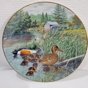 Plato de coleccionista Living With Nature Jerner's Ducks 5 The Northern Shoveler 1987 - Imagen 1 de 10