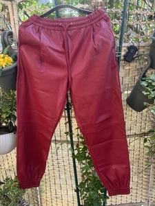 🌺Joggpant Kunstleder von ZARA 🌺 S, neuwertig - Bild 1 von 8
