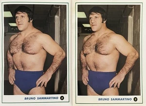 1977 Gong Bromide Bruno Sammartino And Terry Funk (2) Wrestling Photos WWF WWE - Picture 1 of 2