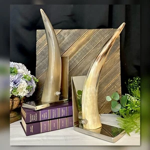 Sujetalibros cuerno y metal extremos de libro estatuas Jonh Richard base de plata cuerno natural - Imagen 1 de 11