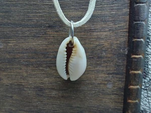 Vintage Cowrie Shell Necklace Pendant choker - Picture 1 of 10