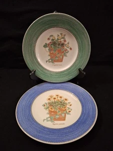Wedgwood 1997 Sarah's Garden S/2 Salad Plates 8" Green & Blue Queensware England - Picture 1 of 14