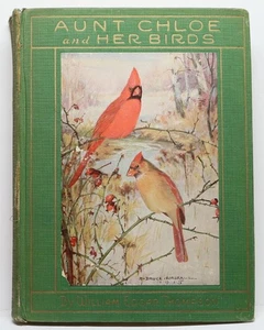 Aunt Chloe and Her Birds by WILLIAM EDGAR THOMPSON 1927 - Foto 1 di 7