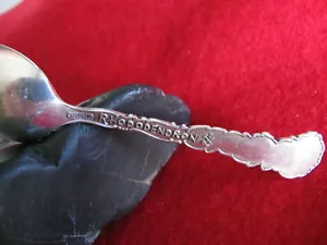 ANTIQUE STERLING SILVER 0.925 - RHODODENDRON SOUVENIRE SPOON - J.MAGER & BROSS - Picture 1 of 6