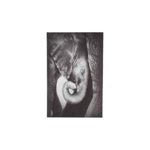 Maine & Crawford Blaine 90x60cm Baby Elephant On Stretched Canvas Wall Art Decor - Picture 1 of 3