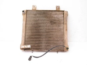 Polaris Sportsman 500 2000 radiador 1240045 con buen sensor (borde inferior doblado) - Imagen 1 de 12