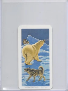 1973 Polar Bear National Wildlife Federation The Arctic Card #30 Series 16 - Picture 1 of 2