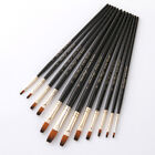12 Pcs Nail Art Brush Professional Painting Micro Detail Two-color