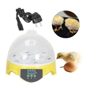 7 eggs brooder surface breeder incubator breede Fully automatic breeding machine - Picture 1 of 8