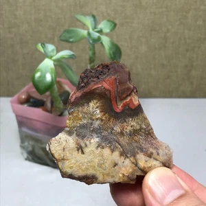 Natural crazy Mexican agate Crystal gemstone rough original Specimen 41g A1457 - Picture 1 of 16