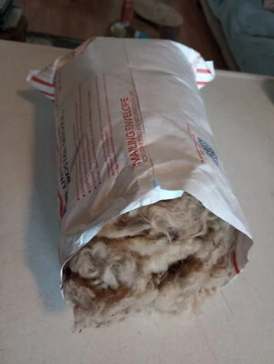 1 Pound Unwashed Sheep Wool - Image 1 of 2