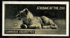 Tobacco Card, Carreras, KODAK AT THE ZOO, A Series, 1924, Lion Cub, #23