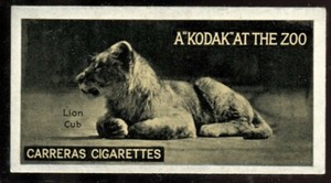 Tobacco Card, Carreras, KODAK AT THE ZOO, A Series, 1924, Lion Cub, #23