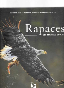 RAPACES - Imagen 1 de 2