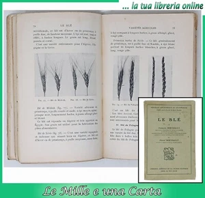 Libro di botanica coltivazione del grano cereali cerealicoltura LE BLE Berthault - Imagen 1 de 14