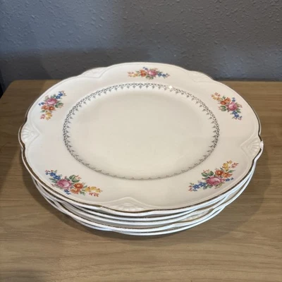 Homer Laughlin Floral 10” Pratos de Jantar Conjunto de 5 (Casal Pequenas Chips em Dois) - Imagem 1 de 4
