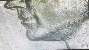 1972 D Half Dollar Vintage Coin Strike Error 53 Year Old - Picture 1 of 5