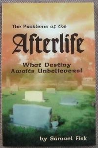 THE PROBLEMS OF THE AFTERLIFE ~ SAMUEL FISK ~ PB ~ 2001 ~ LIKE NEW !! - Picture 1 of 6