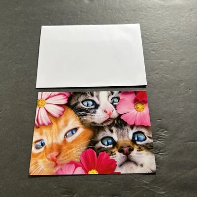 TARJETA DE FELICITACIÓN DE CUMPLEAÑOS AVANTI PRESS Nueva con Sobre AZUL Ojos Gatos-Grupo ABRAZO Foto 1 de 3