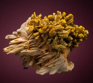 Pyromorphite Ussel, Correze, Limousin, Francia 0900-0126 - Imagen 1 de 4