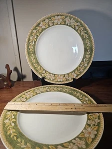 Two Studio Nova Windsor Vine Green Dinner Plates Plates 12" Nancy Green Design - Picture 1 of 8