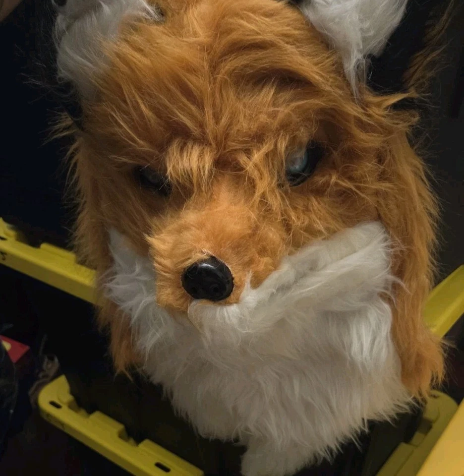 Molezu Estrella Zorro Máscara Movedor Boca Naranja Animal Vestido Elegante Halloween VENDEDOR DE EE. UU. Foto 1 de 4