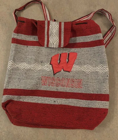 Wisconsin Badgers Poncho Bag Cover