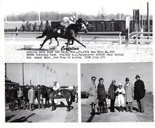 Horse Racing CONTATINA Nov 23 1972 LIBERTY BELL PARK PA Original 8x10 Photo