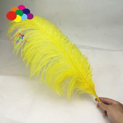 10 piezas 45-50 cm/18-20 pulgadas varilla dura alta calidad plumas de avestruz fiesta plumas Foto 1 de 4