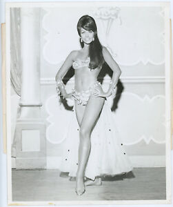 Risqué Las Vegas Showgirl Vintage 1967 Stardust Hotel Sultry Glamour Photograph 