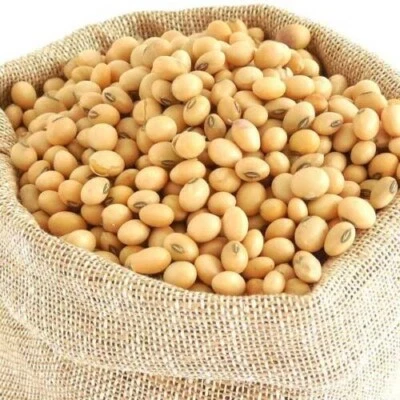 SIMPLYONLINE ORGANIC BULK 10KG DRIED SOYA BEANS - SOY BEANS - FOR TOFU - SOY MILK