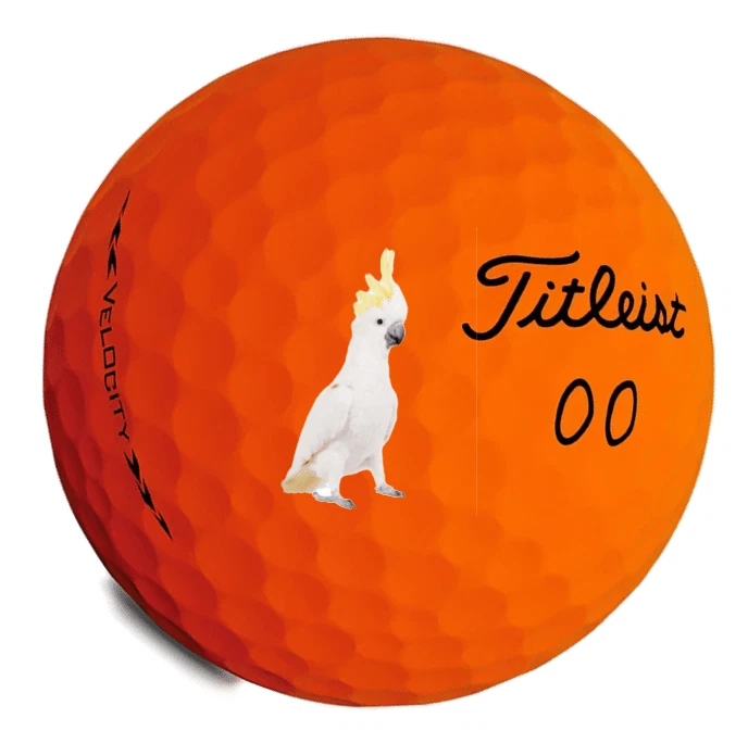 36 Titleist Velocity Orange Matte Used Washed 5A Orange Matte Titleist Velocity - Image 1 of 1