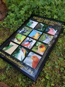 Vallarta Bird Festival 2013 Framed Poster Bird Watching Ornithology Wall Art - Picture 1 of 10