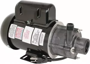 LITTLE GIANT PUMPE 584604 / 584604 (BRANDNEU) - Bild 1 von 1